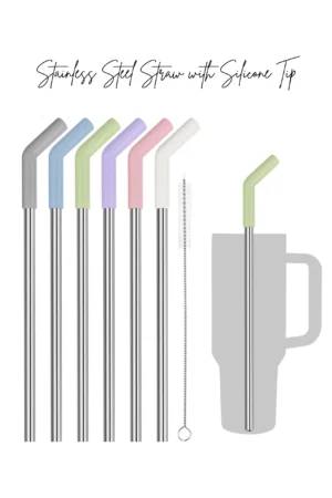 Steel Straw with Tip